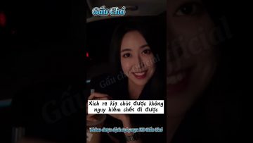 Đậu Giá Lão Cung Phần 11
