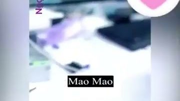 Sếp Là Nữ Thần Của Tôi – Phần 02 Copy
