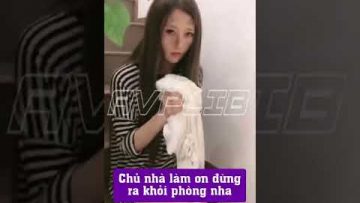 [ID: 70WpsD61Zwo] Youtube Automatic