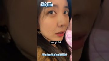 [ID: h3-RhSlHJxo] Youtube Automatic