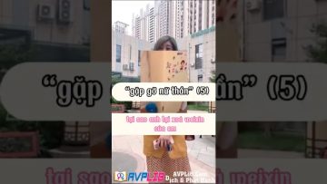 [ID: 47uoRH2u2X0] Youtube Automatic