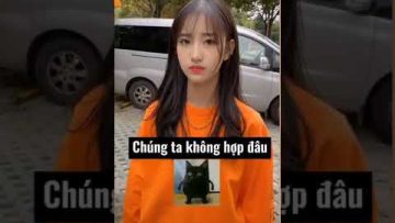 [ID: Jq95lhzsWeE] Youtube Automatic
