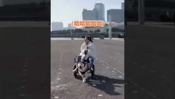 [ID: TK2_4wo3eQc] Youtube Automatic