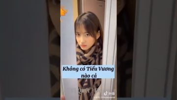 [ID: hXvvOeZ0gkQ] Youtube Automatic